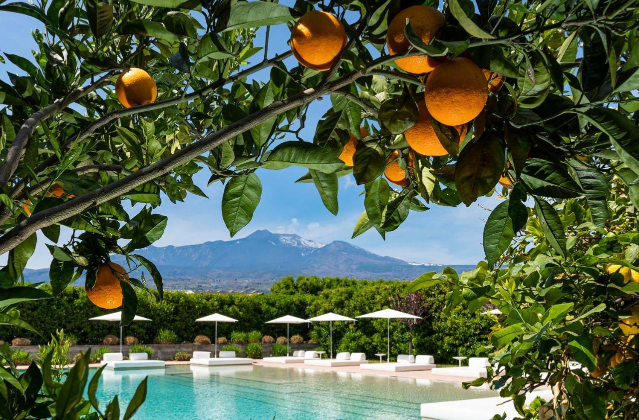 Ramo D'Aria Etna Boutique Hotel Giarre Exteriör bild